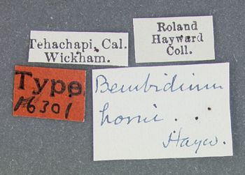 Media type: image; Entomology 16301   Aspect: labels